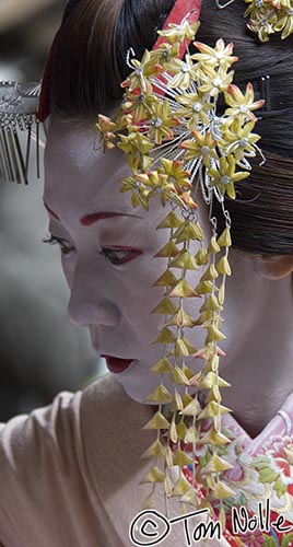 Japan_20080411_013814_375_2X.jpg - Women in Japan may pay to be dressed and made up as Geishas, and this is likely one.  Tenryu-Ji Kyoto Japan.