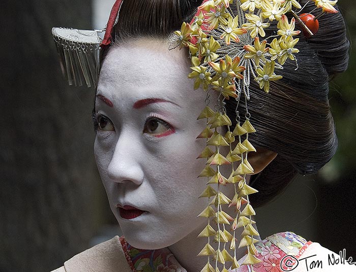 Japan_20080411_013922_382_2X.jpg - The Geisha look is a classic one in Japan, imitated by the makeup of many women on special occasions, or just to feel pretty.  Tenryu-Ji Kyoto Japan.