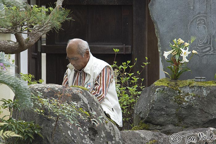 Japan_20080411_020648_406_2X.jpg - A man picks a wonderful spot to engage in a contemplation of nature.  Kyoto Japan.