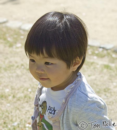 Japan_20080414_211034_822_2X.jpg - Too young to be in school, this Japanese child watches the student group with fascination.  Korakuen gardens Okayama Japan.