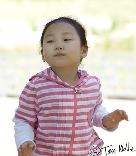 Japan_20080419_204442_549_2X.jpg - A young Korean girl enjoys a shady spot in Bulguksa temple Kyongju South Korea