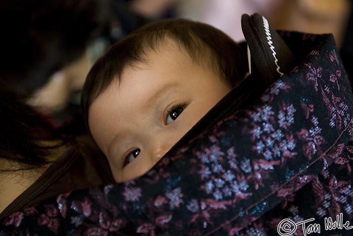 Japan_20080420_221004_450_20.jpg - An infant in a typical backpack carry in Hagi, Japan