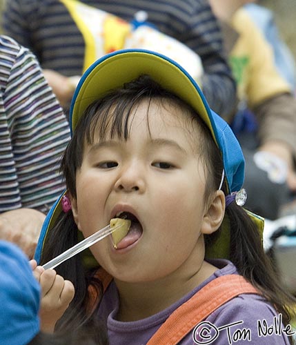 Japan_20080422_221608_208_2X.jpg - A young girl shows prodigious eating skills in Shikoku-Mura, Takamatsu, Japan.