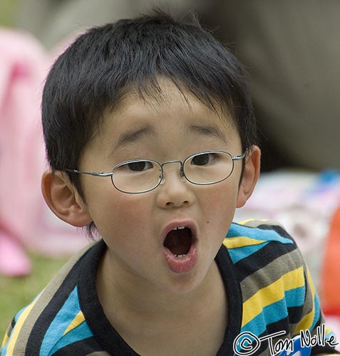 Japan_20080422_221700_222_2X.jpg - A little boy is surprised by the legion of visitors in Shikoku-Mura, Takamatsu, Japan.