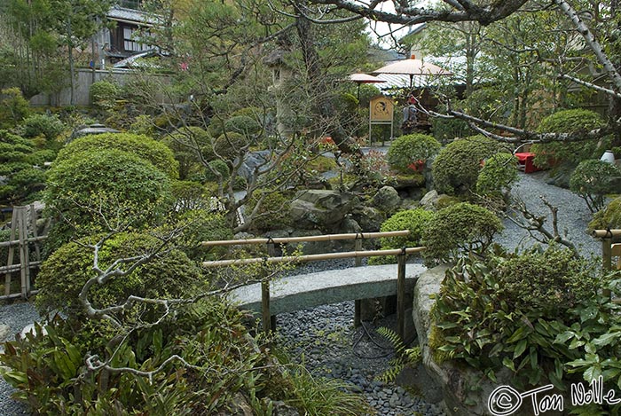 Japan_20080408_220608_845_20.jpg - Our first true Japanese garden set a high standard for what was to come.  Kyoto Japan.