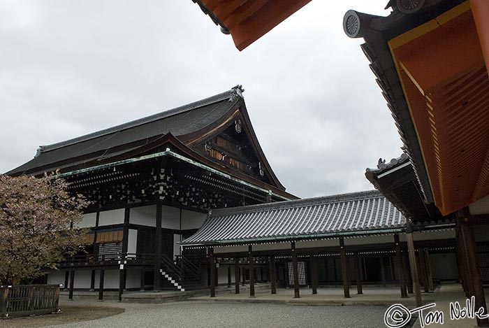 Japan_20080409_204642_942_20.jpg - Tile roofs form abstract patterns in the old Imperial Palace Kyoto Japan.