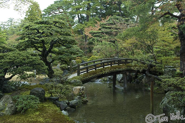 Japan_20080409_210154_974_20.jpg - The gardens in the old Imperial Palace Kyoto Japan.