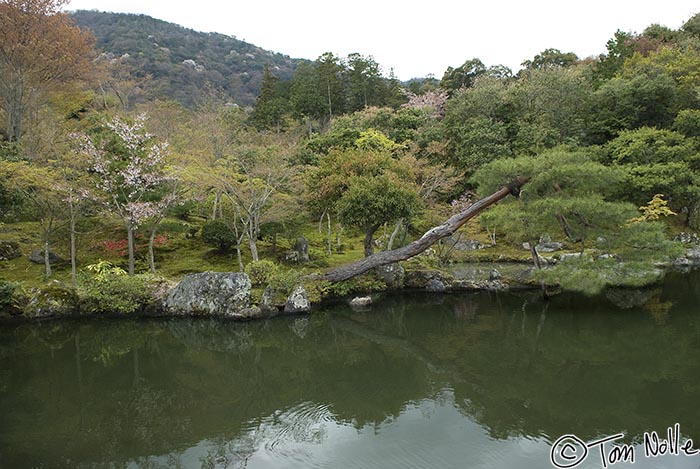 Japan_20080411_004700_085_20.jpg - A small lake in the gardens of the Tenryu-Ji temple Kyoto Japan.