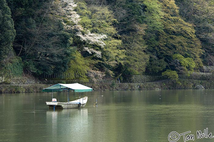 Japan_20080411_022110_452_2X.jpg - A small boat is anchored in a river whose wooded banks show flashes of cherry blossom color.  Kyoto Japan.