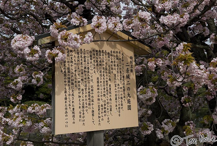 Japan_20080411_202404_139_20.jpg - This sign is dappled with shadows cast by a rich set of cherry blossoms.  Nijo-Jo Kyoto Japan.