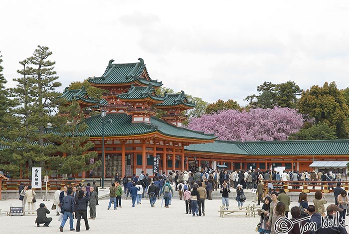 Japan_20080411_215712_158_20.jpg - A large complex within the Heian Jingu Shrine Kyoto Japan.