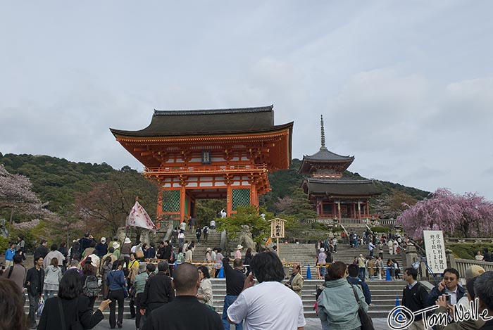 Japan_20080412_022200_197_20.jpg - Atop a short flight of steps somewhat crowded with visitors, the Kiyomizu Temple complex is one of the attractive scenes in northeast Kyoto Japan.