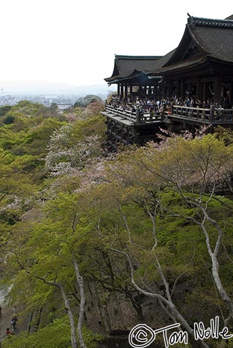 Japan_20080412_024140_218_20.jpg - In older times, people jumped from the veranda, believing that surviving the 40-foot fall was proof of good luck.  The practice isn't permitted today!  Kiyomizu Temple Kyoto Japan.