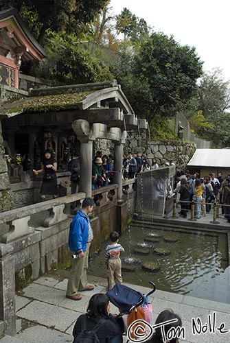 Japan_20080412_024848_224_20.jpg - The name "Kiyomizu" means "pure water", and this is where three falls pour water through separate pipes and plunge into a pool.  Visitors can drink; it is believed to promote health.  Kiyomizu Temple Kyoto Japan.