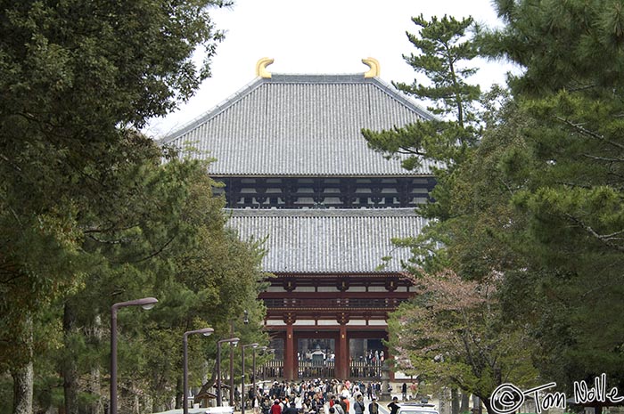 Japan_20080412_205320_723_2X.jpg - The Great Buddha Hall, largest wooden structure in the world, at Todai-Ji Nara Japan