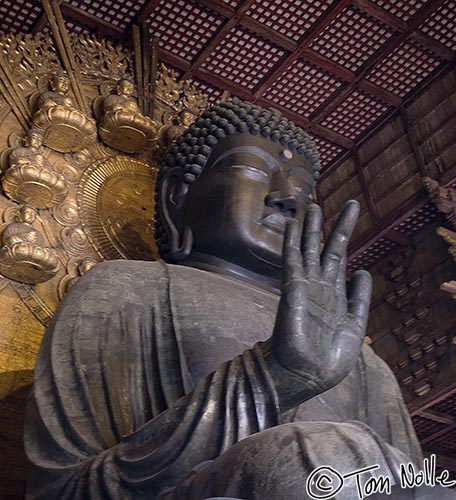 Japan_20080412_212038_335_20.jpg - The bronze Buddha in Todai-Ji Nara Japan