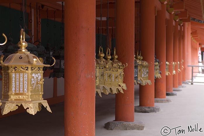 Japan_20080412_224308_444_20.jpg - This is apparently the high-income side of the pillars-and-lanterns display!  Nara Japan