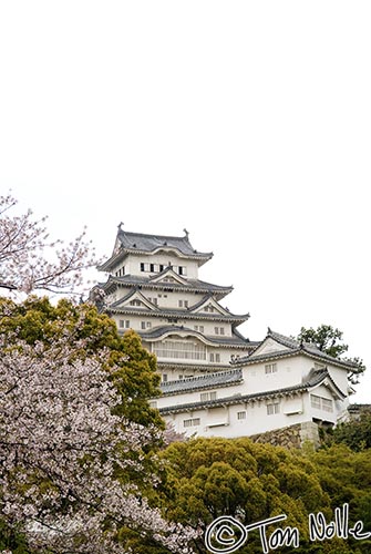 Japan_20080414_011714_506_20.jpg - Himeji Castle's main structure, from the garden at the gate area.  Kobe Japan.