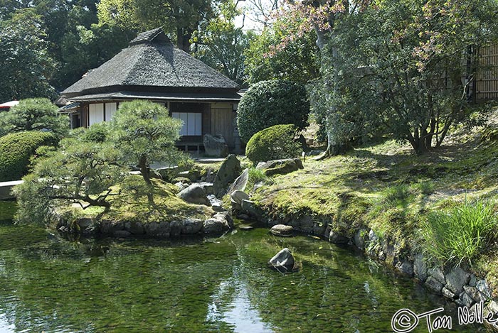 Japan_20080414_205058_592_20.jpg - An idyllic scene in Korakuen gardens, Okayama Japan.