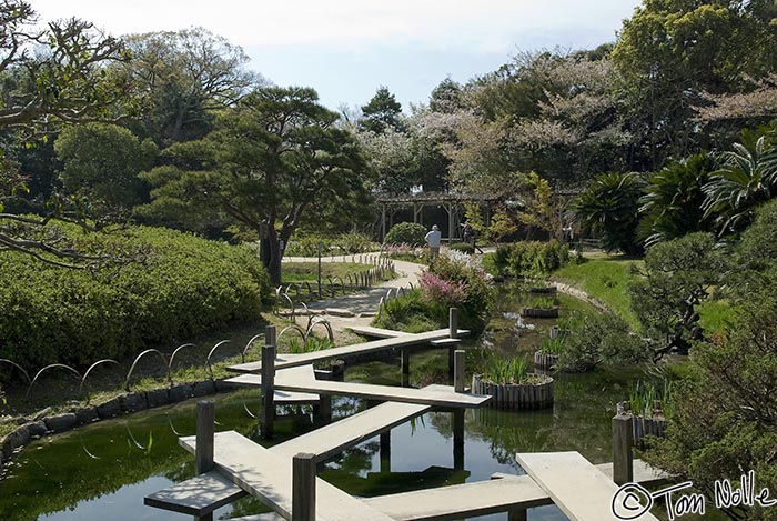 Japan_20080414_205440_596_20.jpg - A zigzag bridge leads to another lovely area of the Korakuen gardens, Okayama Japan.