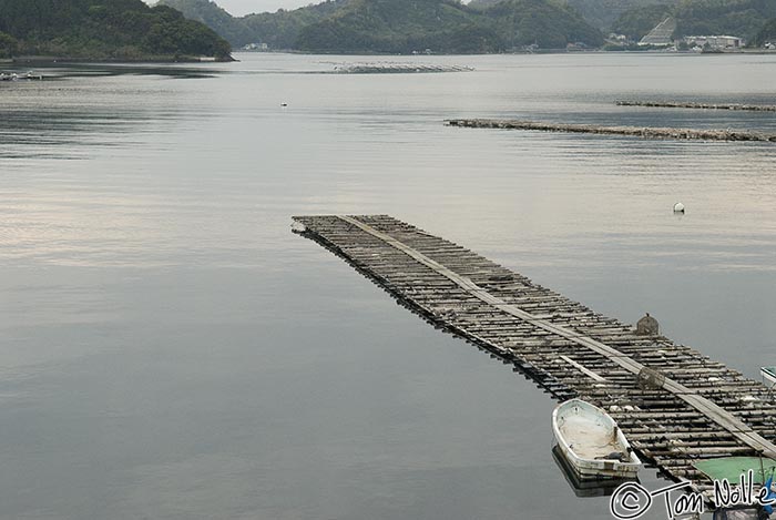 Japan_20080415_203642_739_20.jpg - A small dock where pearl harvesters leave to visit their beds of cultured pearl oysters.  Uwajima Japan.