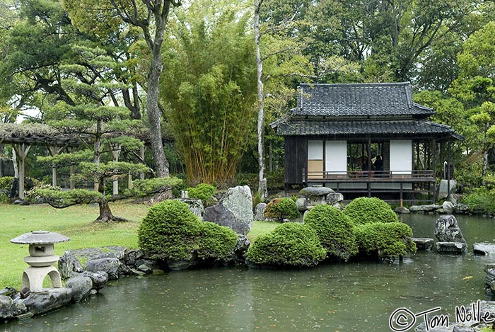 Japan_20080415_232752_792_20.jpg - Tenshaen is a beautiful but rarely visited garden in Uwajima Japan.