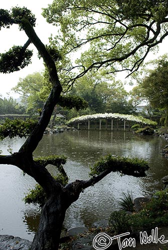 Japan_20080415_233254_803_20.jpg - A beautiful scene in Tenshaen gardens, even in a light rain.  Uwajima Japan.