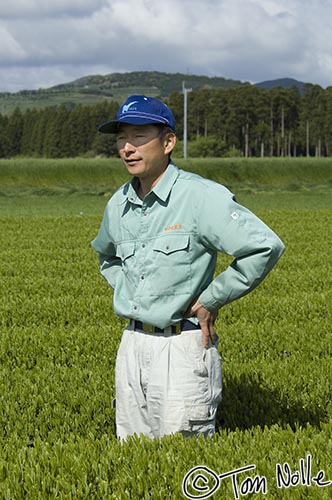 Japan_20080417_201520_190_2X.jpg - The owner of a tea plantation shows us how the various grades are grown.  The weather has turned sunny, too!  Kagoshima Japan.