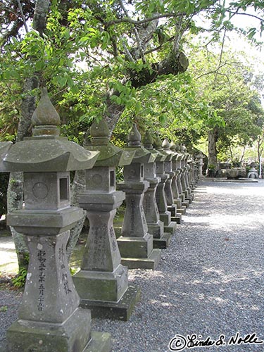 Japan_20080417_221300_332_S.jpg - A popular feature in Japanese gardens, these are lined up like soldiers.  Chian Peace Museum (Kamakazi Museum) Kagoshima Japan