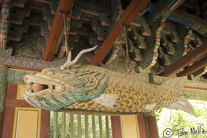 Japan_20080419_205204_251_20.jpg - A strange configuration of fish, hanging in the Bulguksa temple Kyongju South Korea