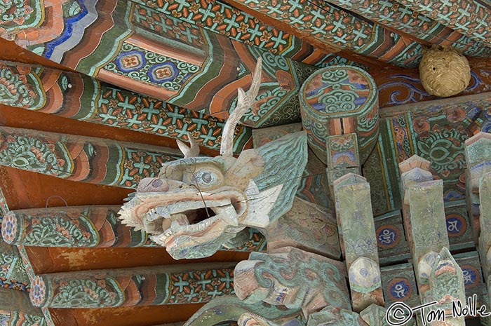 Japan_20080419_205908_560_2X.jpg - A fierce-looking dragon guards the eaves of a temple building in Bulguksa temple Kyongju South Korea