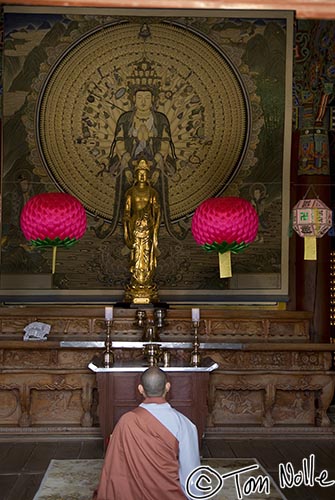 Japan_20080419_210350_257_20.jpg - An alter in the Bulkugsa temple, with a Buddhist priest in prayer.  Kyongju South Korea