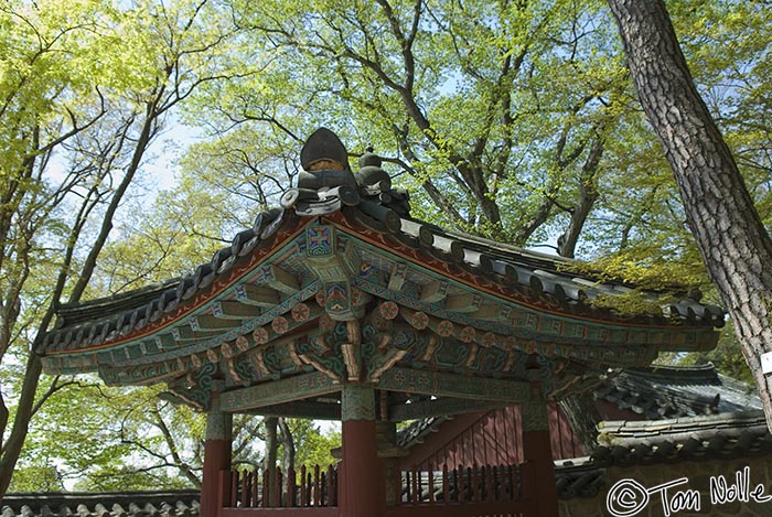 Japan_20080419_211126_266_20.jpg - A decorative roof amid the trees of Bulguksa temple Kyongju South Korea