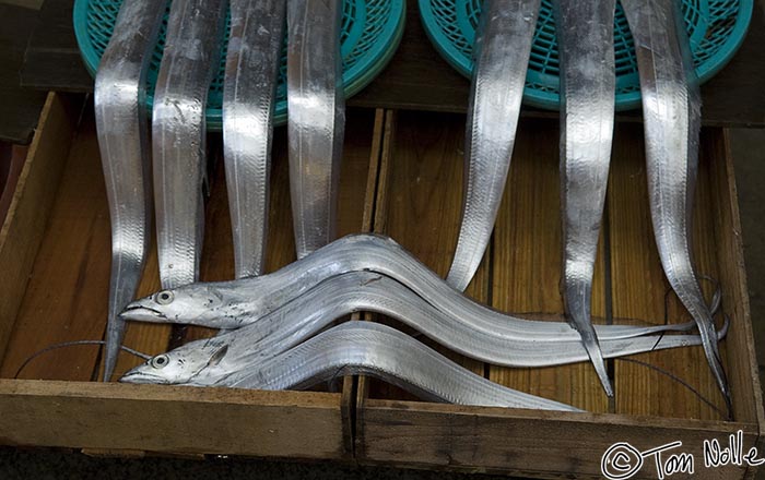 Japan_20080420_010556_331_20.jpg - Silvery fish like ribbons adorn a traditional outdoor market in Kyongju South Korea