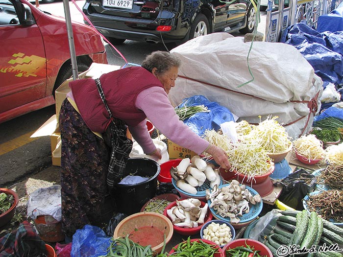 Japan_20080420_011940_372_S.jpg - A shopkeeper tidies up in the local market of Kyongju South Korea