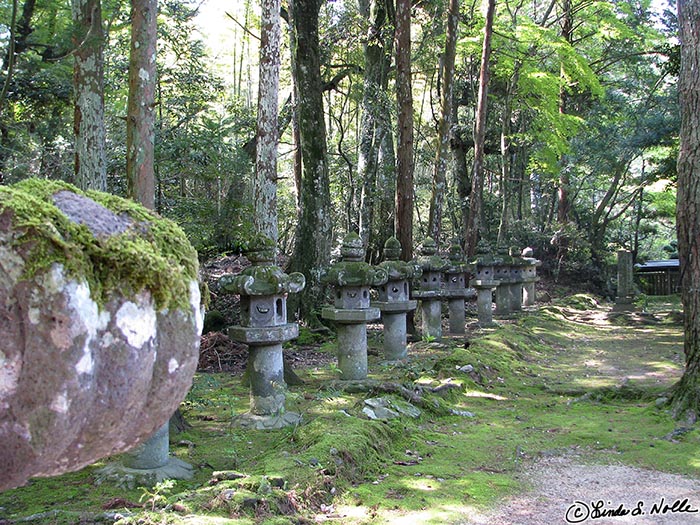 Japan_20080420_210226_373_S.jpg - A mossy glade in Tokoji gardens, Hagi, Japan