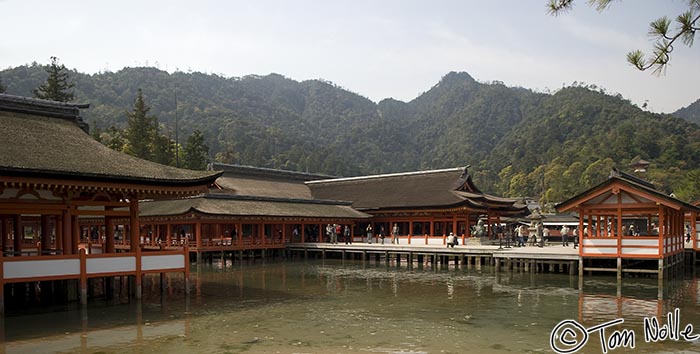 Japan_20080421_202034_538_20.jpg - The floating tori of Itsukushima isn't the only thing floating in the Shinto shrine; the whole structure is on pilings.  Miyajima Japan.