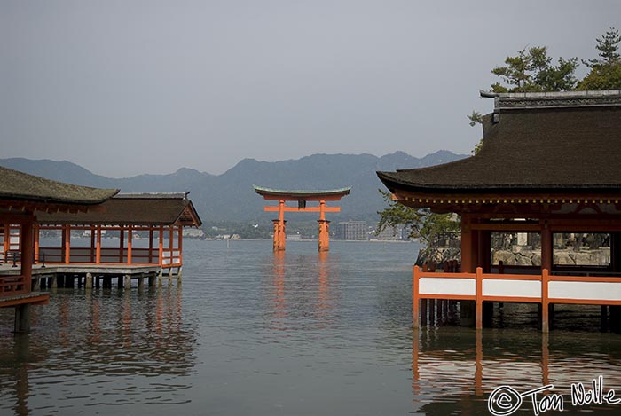 Japan_20080421_202322_543_20.jpg - The temple and the floating tori combine to create a quintessential Shinto experience in Miyajima, Japan.