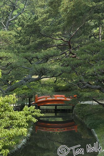 Japan_20080422_203630_846_20.jpg - A brilliantly colored bridge contrasts with dark pines and lighter trees in Ritsurin Park Takamatsu, Japan.