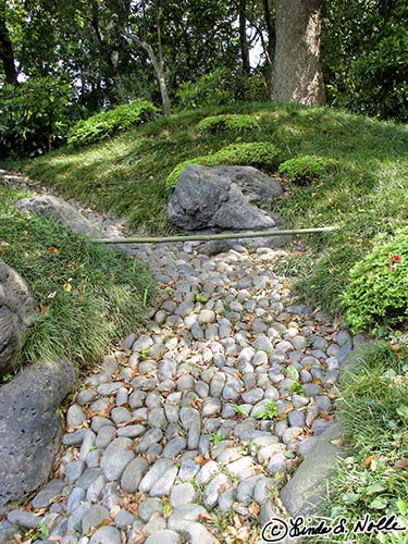 Japan_20080425_010006_398_S.jpg - A path of river stones leads off into a serene glade of trees.  Kiyosumi Gardens Tokyo, Japan.