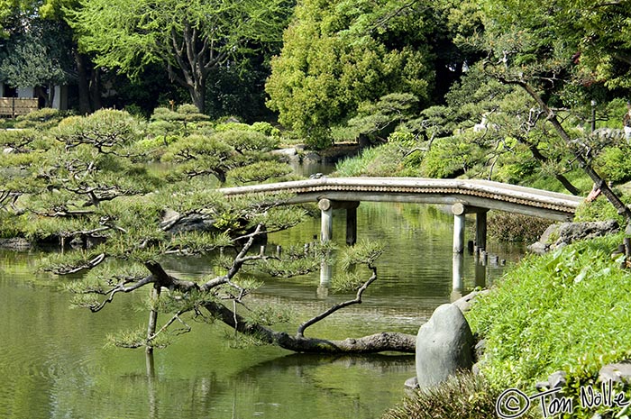 Japan_20080425_010416_355_2X.jpg - A picturesque wooden bridge in the Kiyosumi Gardens Tokyo, Japan.