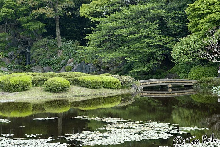 Japan_20080425_210028_370_20.jpg - A bridge and quiet glade are reflected in a pond in the East Garden of the Imperial Palace Tokyo, Japan.