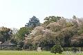 Japan_20080414_204558_799_2X