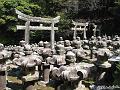 Japan_20080420_211110_374_S