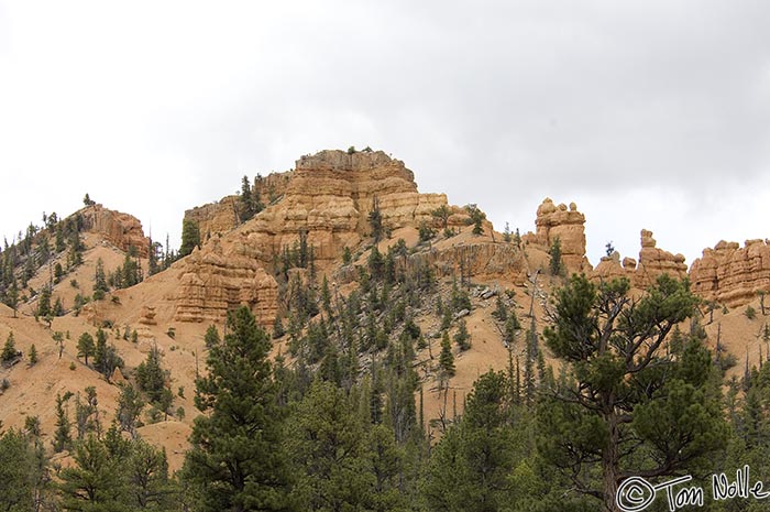 Canyonlands_20080526_142002_670_2X.jpg - Our first hoodoos of the trip were seen on the scenic byway (route 12) on the way between Navajo Lake and Bryce Canyon itself.  This area, part of the Dixie National Forest, is called Red Canyon Utah.