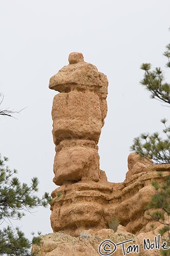 Canyonlands_20080526_142040_674_2X.jpg - Some of the hoodoos look like statues of something; this could be an old man?  They're formed by erosion where a harder cap rock shields the structure underneath.  Red Canyon Utah.