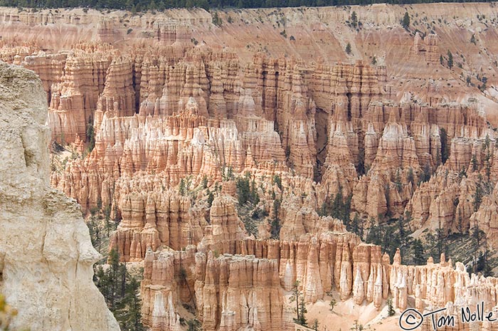 Canyonlands_20080526_170644_860_2X.jpg - The hoodoos in Bryce Canyon Utah are probably the most spectacular found in any place in the US.