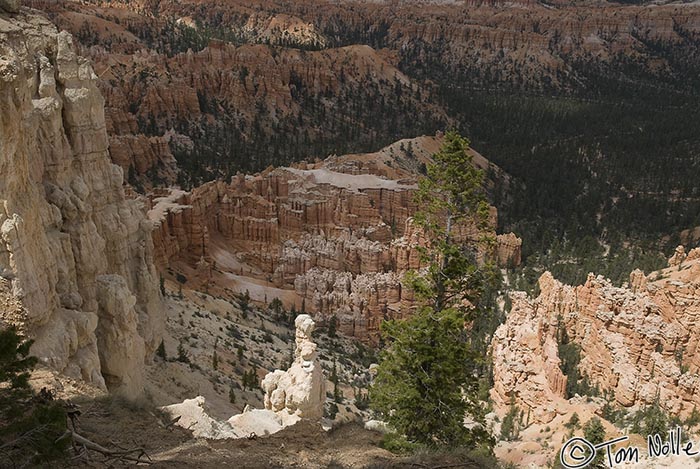 Canyonlands_20080526_170828_675_20.jpg - An errant sunbeam breaks through cloudy skies to light up a white hoodoo in Bryce Canyon Utah.