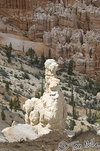 Canyonlands_20080526_170828_873_2X.jpg - A limestone or aggregate formation is weathered, with some parts protected by a harder capstone.  Eventually walls break away as freezing and thawing occur, and the whole thing falls down, but new ones are being sculpted at the rim.  Bryce Canyon Utah.