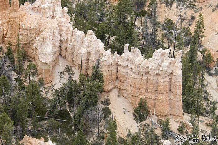 Canyonlands_20080526_171454_889_2X.jpg - A sequence of hoodoos seem to march from the rim downward to the floor of the canyon.  Bryce Canyon Utah.